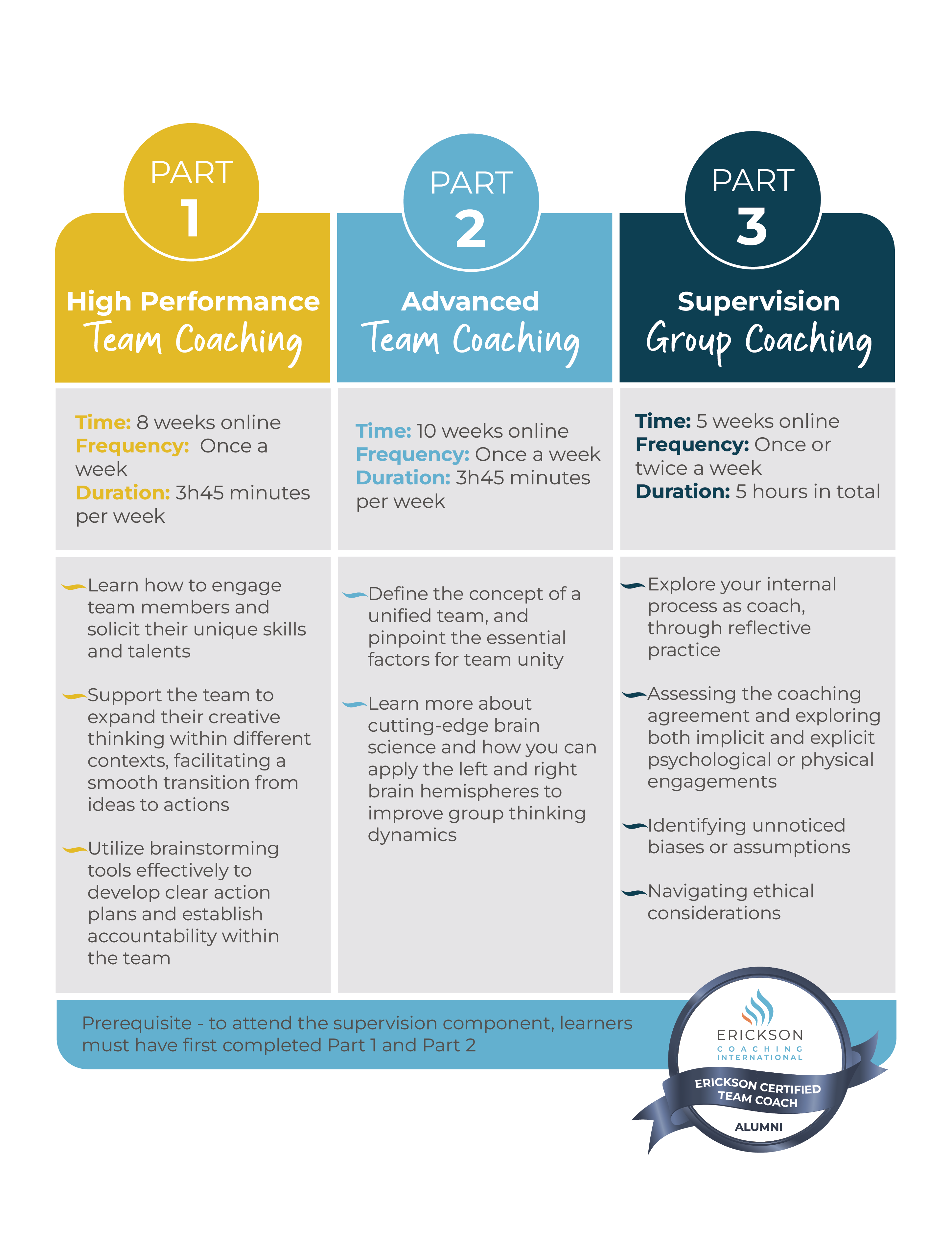 Team Coaching Infographic (1)