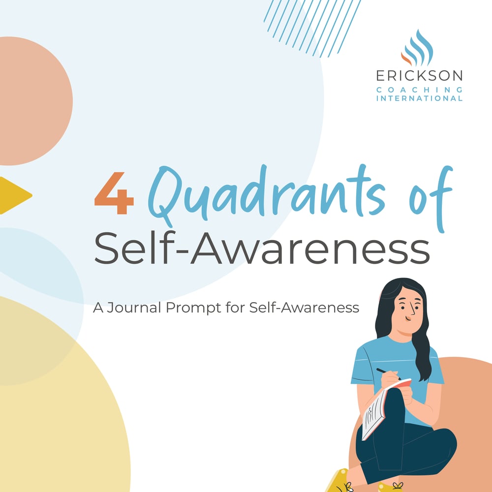 4 Quadrants of self-awareness downloadable