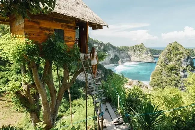 Tree house eco accommodation