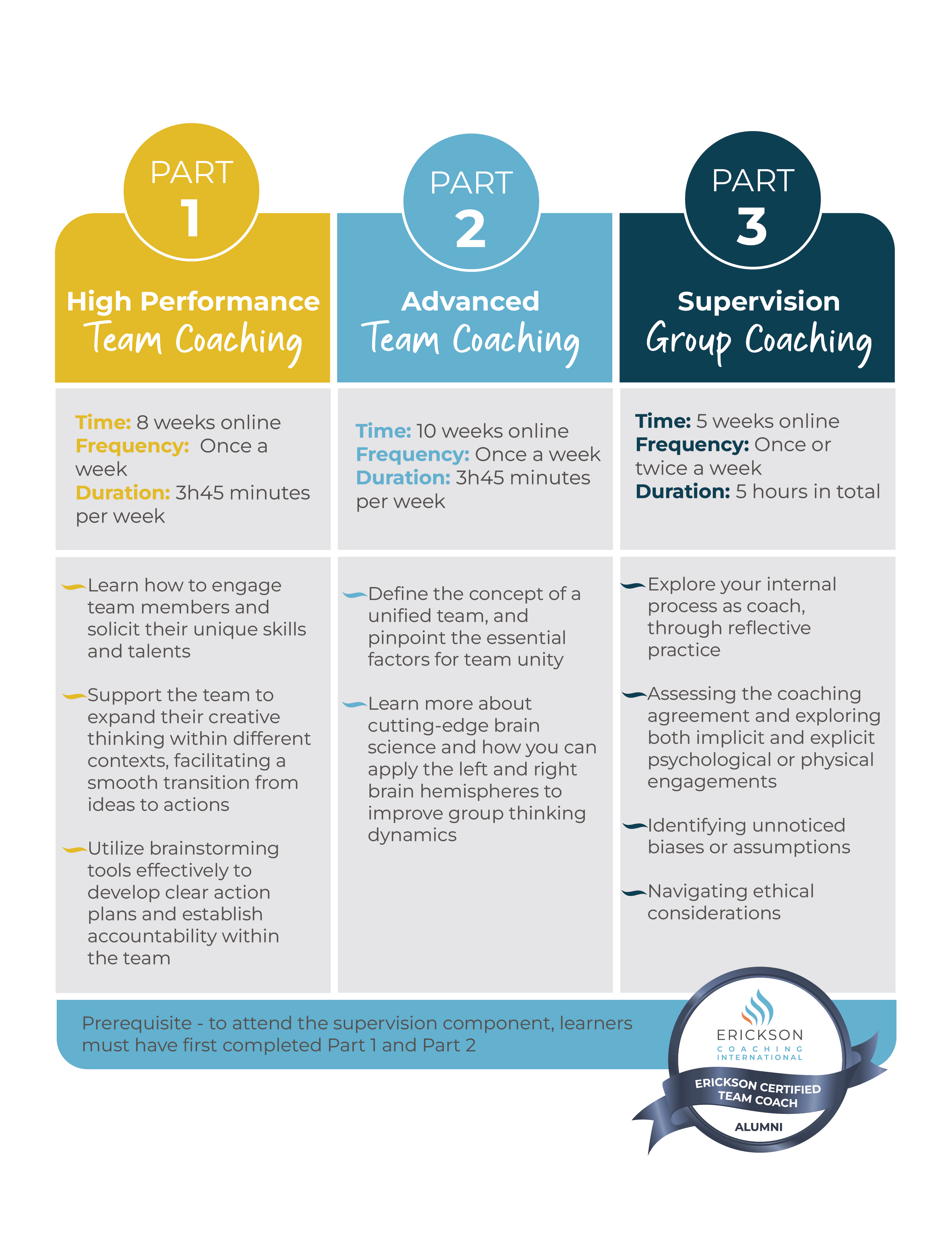 Team Coaching Infographic (1)